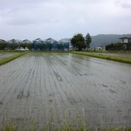 14/06/06 15:25:03_ed